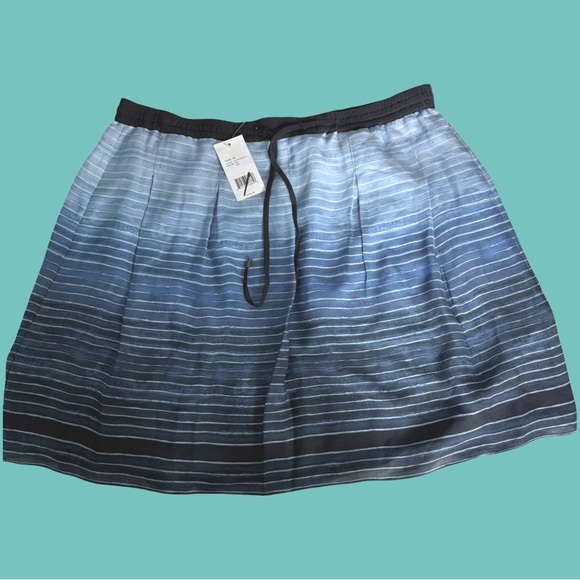 NEW Vince Skirt Blue Ombre Stripe 100% Silk - Picture 1 of 12